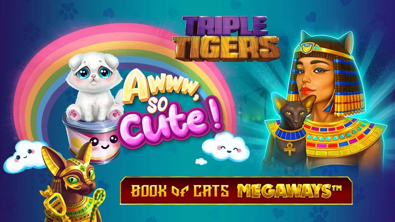 Enjoy 3 New Slots That Celebrate Our Love of Cats