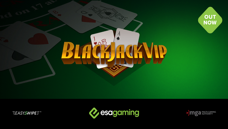 Blackjack VIP Screenshot