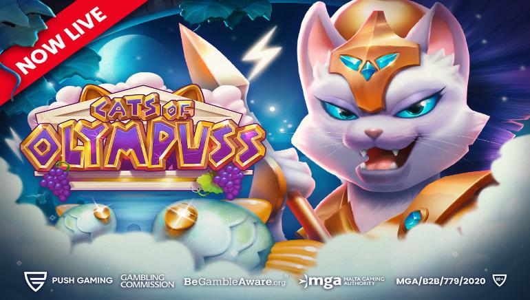 Cats of Olympuss Screenshot