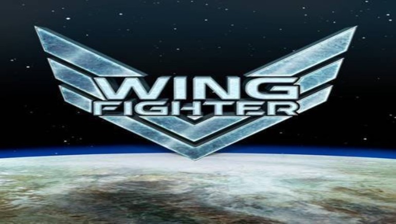 Wing Fighter by Vermantia