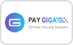 Pay Giga