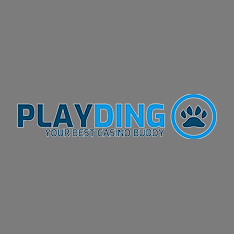 PlayDingo Casino