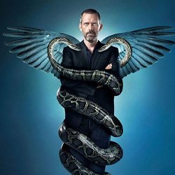 Hugh Laurie as Dr Gregory House