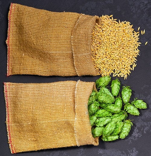 3-barley-hops.jpg