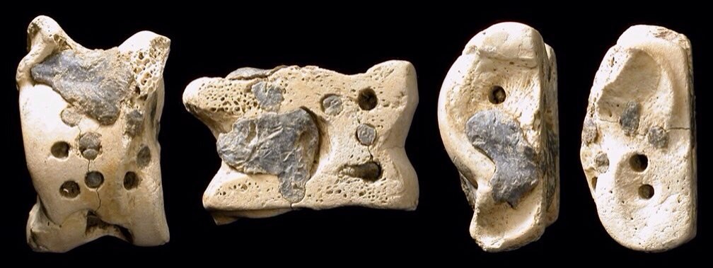 Knucklebone dice from ancient Greece