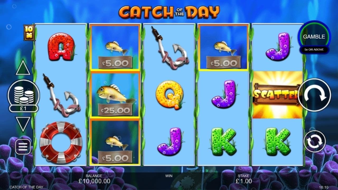 Catch of the Day