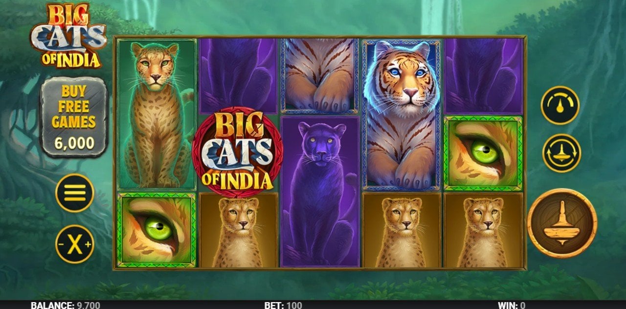 Big Cats of India by Top Spin Games-.jpg