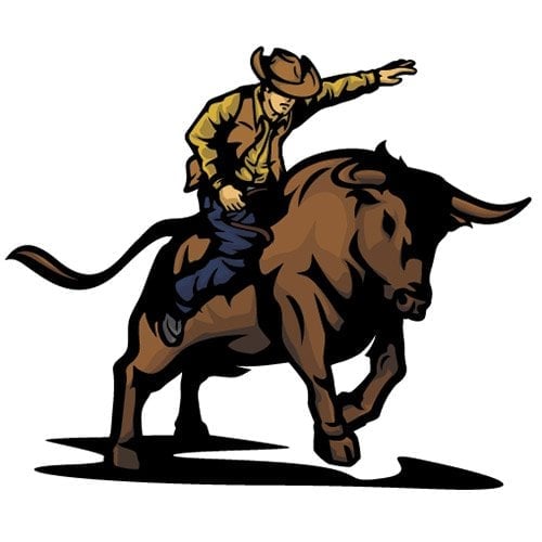 Rodeo Cowboy