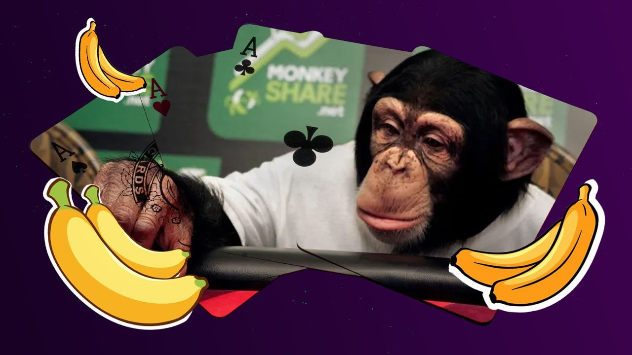 PokerShare - Mikey the WSOP Monkey