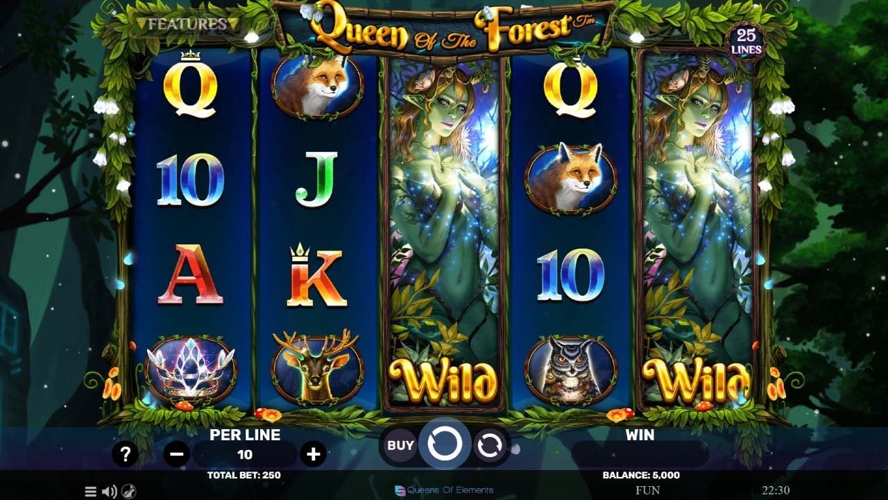 Queen of the Forest slot - Main Screen