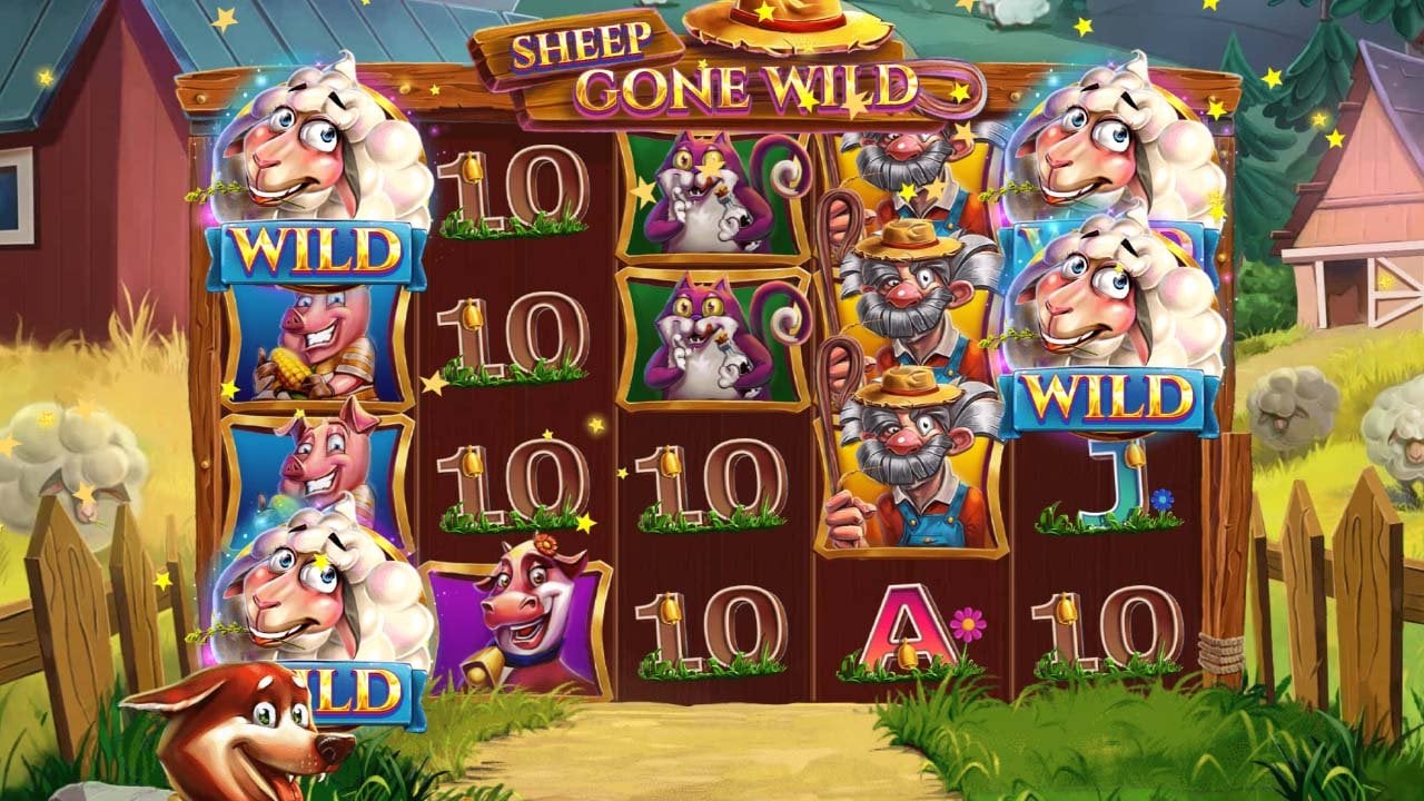 Sheep Gone Wild by Red Tiger