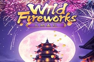 Wild Fireworks