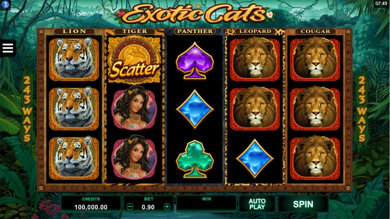 Exotic Cats