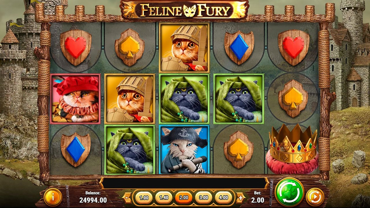 Feline Fury Slot
