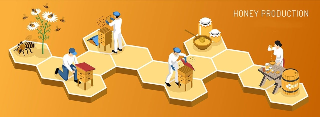 honey-production.jpg