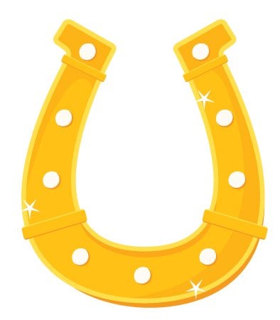 Horse shoe