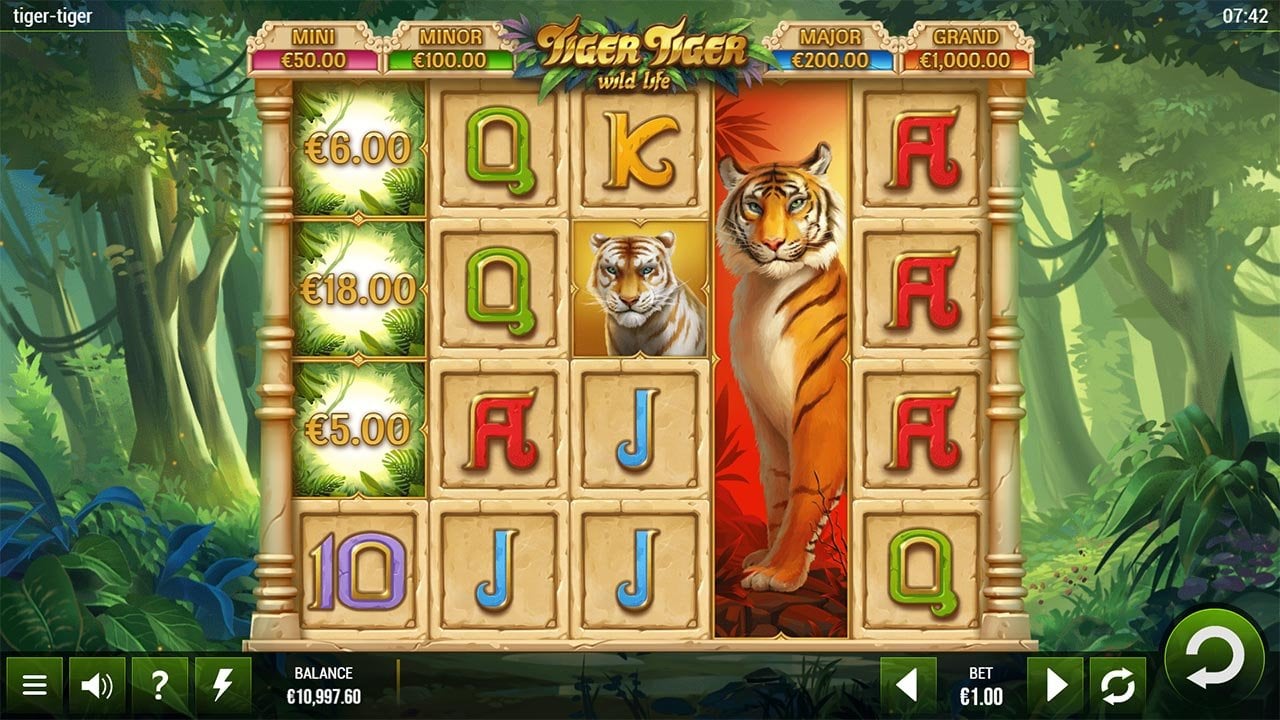 Tiger Tiger Wild Life