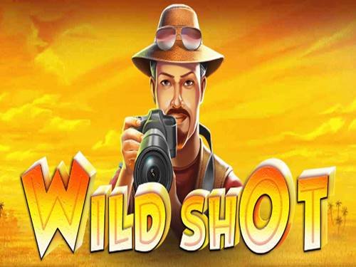 Wild Shot Slot by R. Franco Games