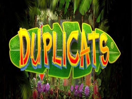 Duplicats Slot by Realistic Games