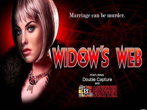Caught In The Widow's Web Screenshot
