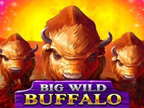 Big Wild Buffalo Slot by Belatra Games