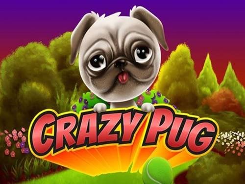 Crazy Pug Slot by Swintt