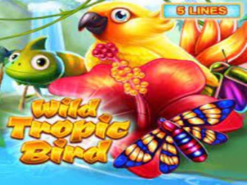 Wild Tropic Bird Slot by InBet Games