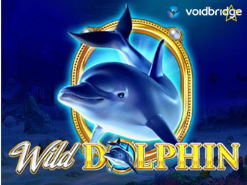 Wild Dolphin Slot by Voidbridge