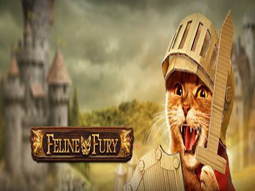 Feline Fury Slot by Play'n GO