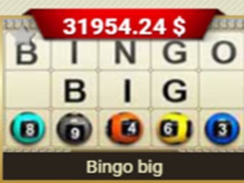 Bingo Big Screenshot