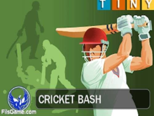 Cricket Bash Screenshot