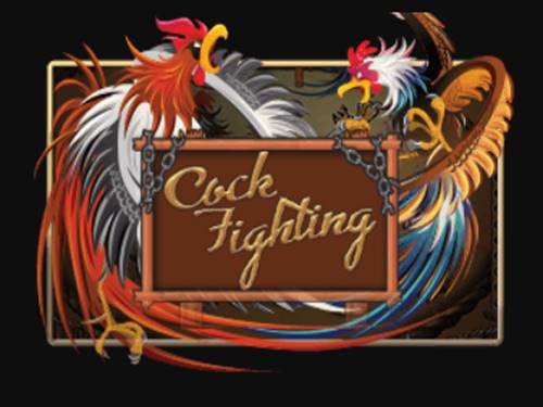 Cock Fighting Slot by Asia Live Tech