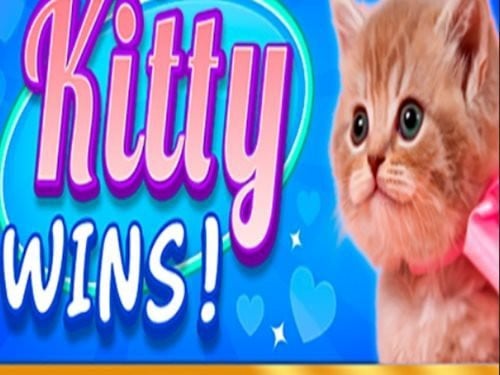 Kitty Wins Slot by Netoplay