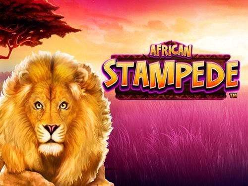 African Stampede Slot by GreenTube