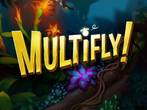 Multifly Screenshot