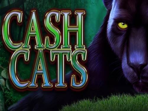 Cash Cats Screenshot
