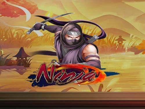 Ninja Screenshot
