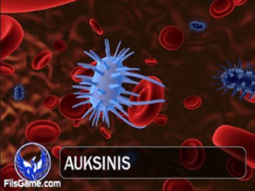 Auksinis Screenshot