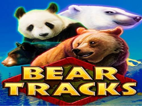 Bear Tracks Slot by Design Works Gaming