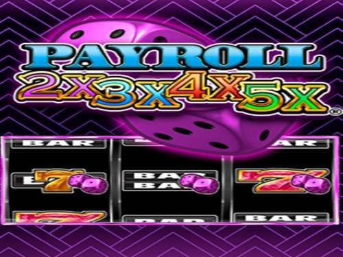 Payroll 2X 3X 4X 5X Slot by Design Works Gaming