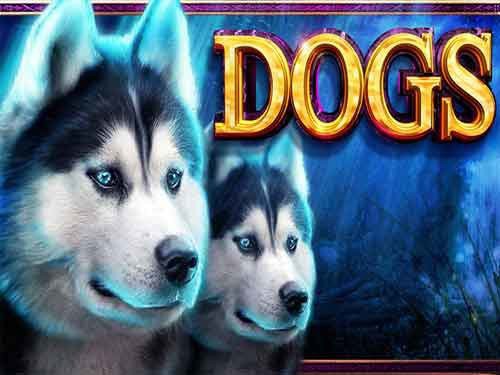 Dogs Slot