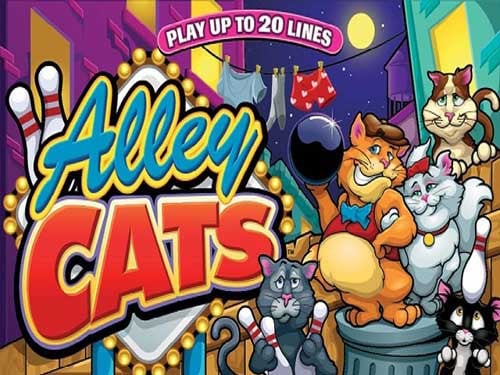 Alley Cats Slot