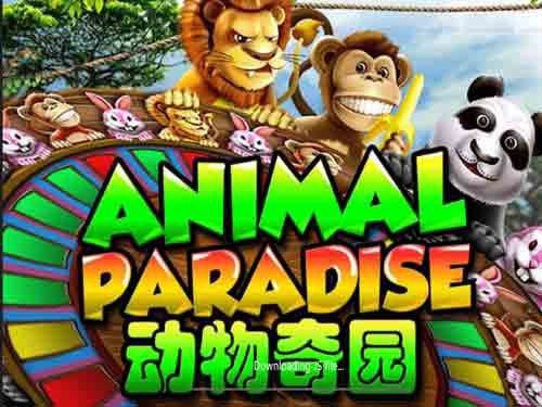 Animal Paradise