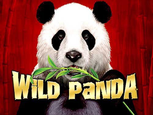Wild Panda Slot