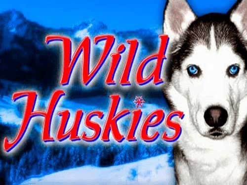 Wild Huskies Slot