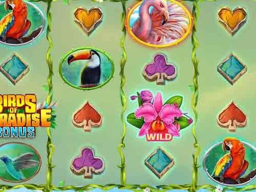 Birds of Paradise Slot