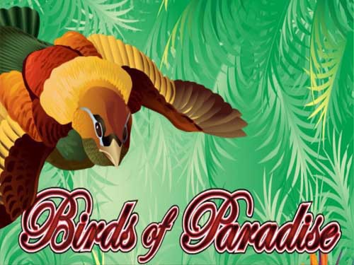 Birds of Paradise Slot Screenshot