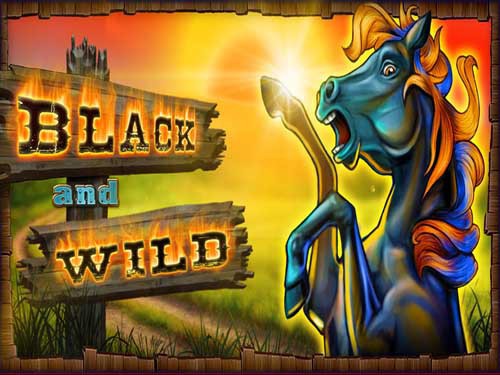 Black And Wild Slot