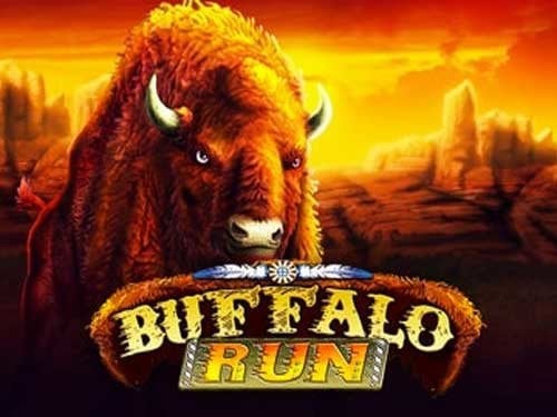 Buffalo Run Slot