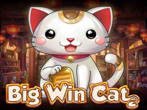 Big Win Cat Slot